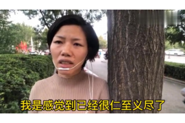 荥经荥经讨债公司服务